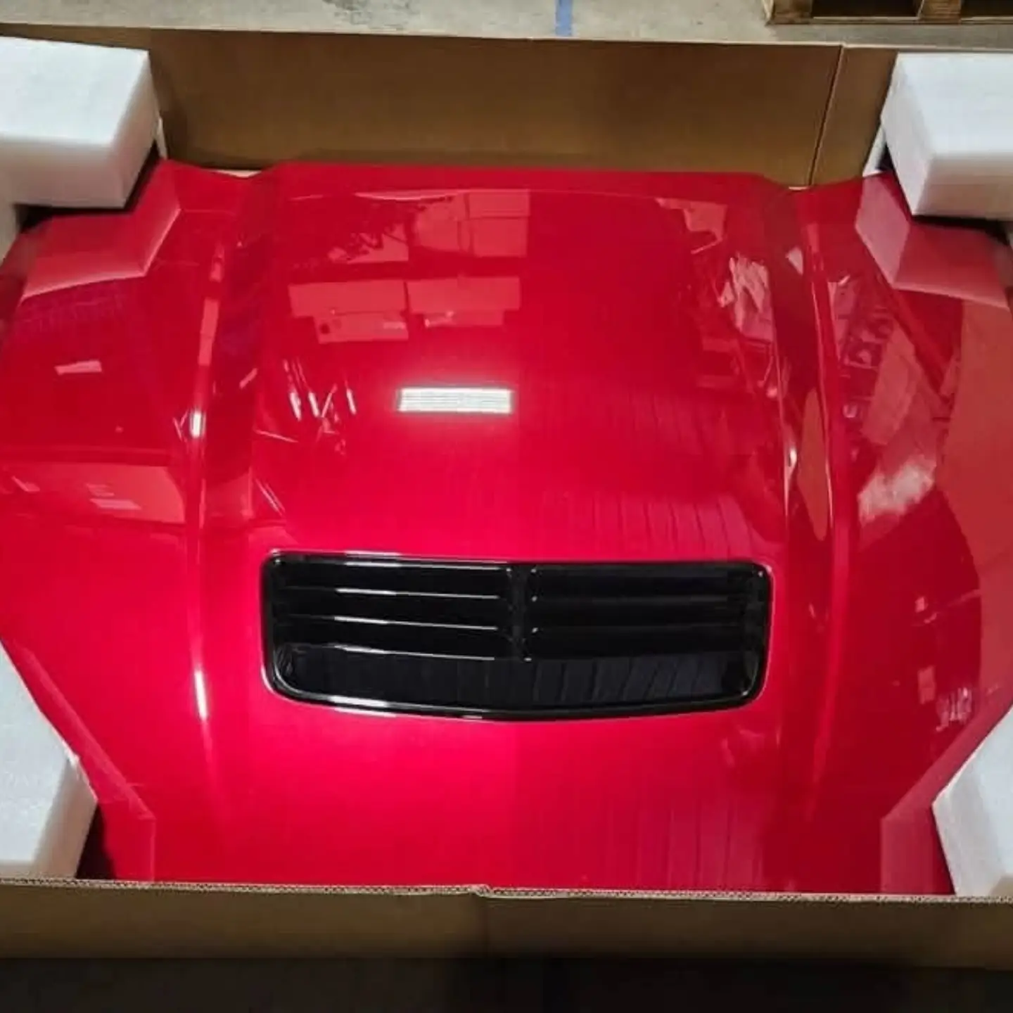 Ford mustang GT Hood — photo 2