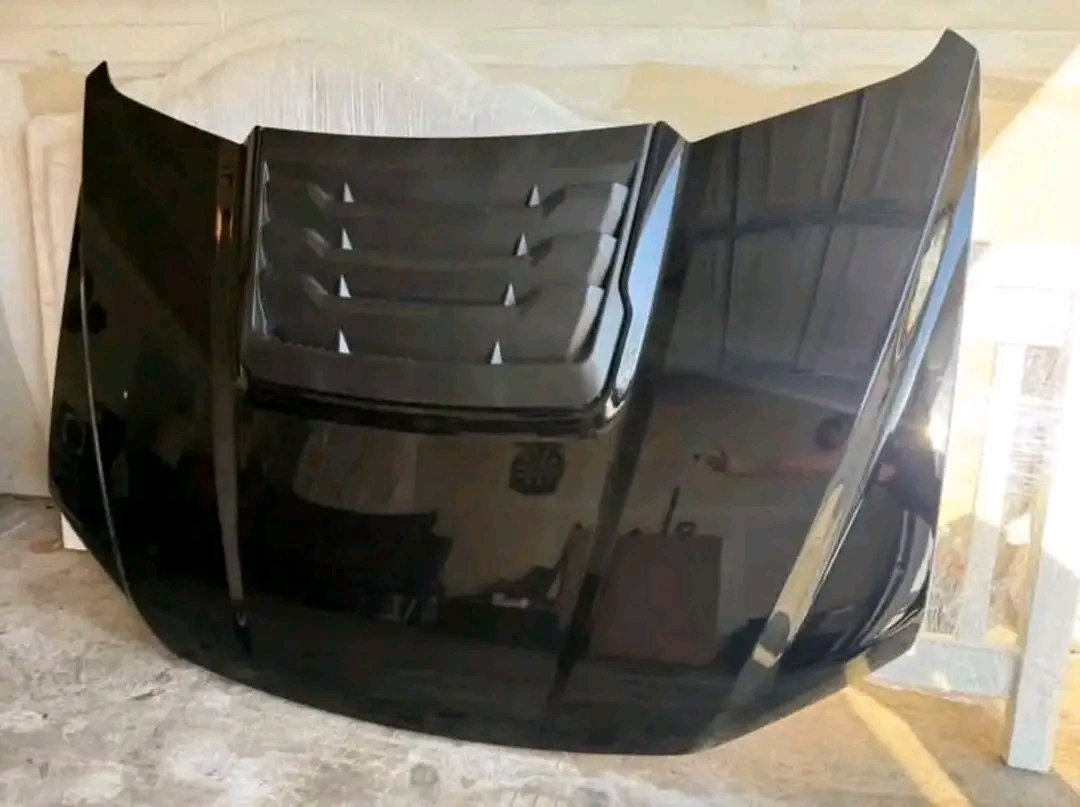 Hood raptor — photo 3